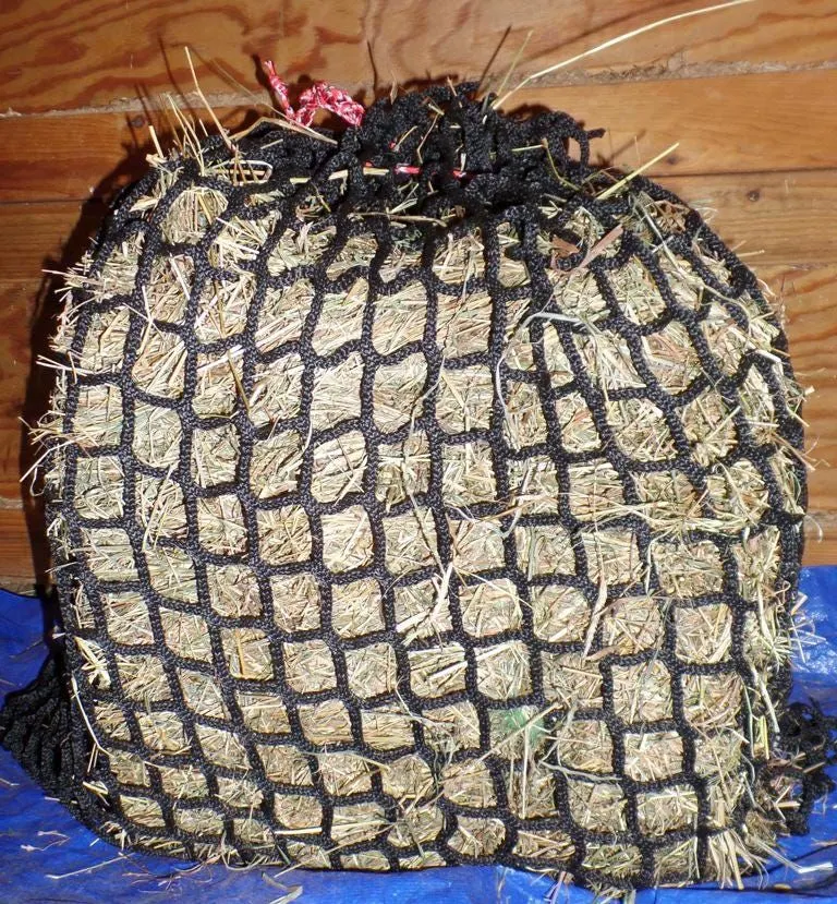 Maize Seeds